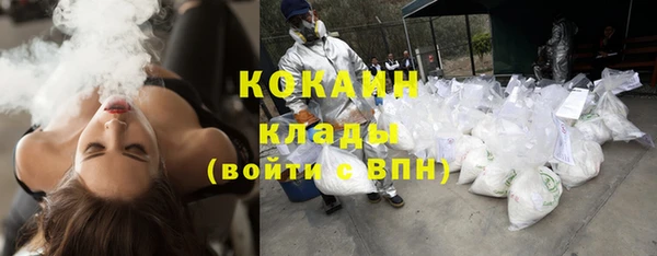 сатива Сосновый Бор