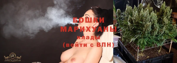стафф Сосновка