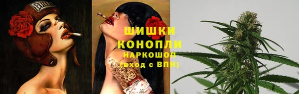 сатива Сосновый Бор