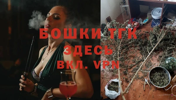 spice Сосновоборск