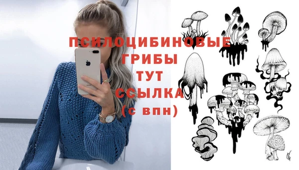 spice Сосновоборск