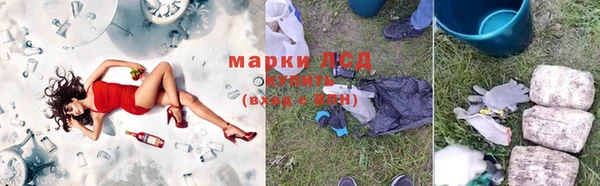 стафф Сосновка