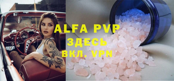 сатива Сосновый Бор