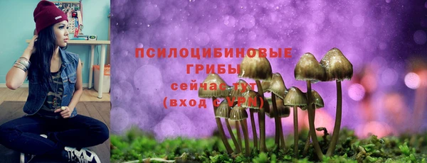 spice Сосновоборск