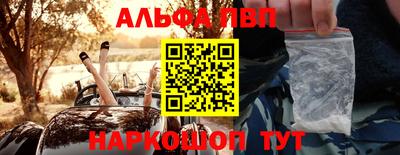 гашик Кингисепп