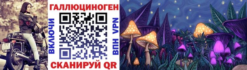 наркотики  Пушкино  Псилоцибиновые грибы ЛСД 
