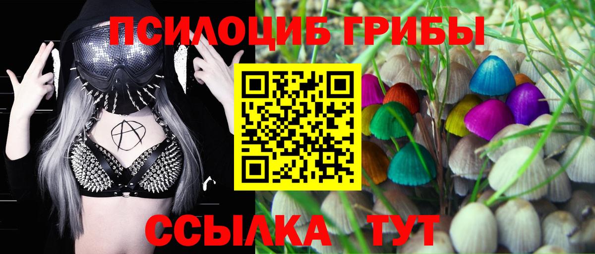 Пушкино  Псилоцибиновые грибы Psilocybe  Вход с VPN 